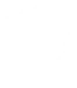 Cybersecurity Icon