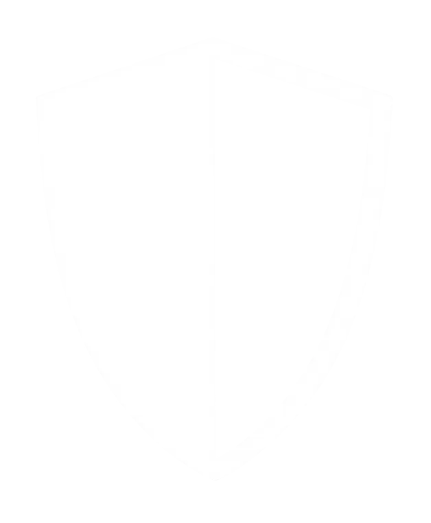 cybersecurity-icon